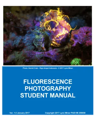 Flurescence Photography Student Manual